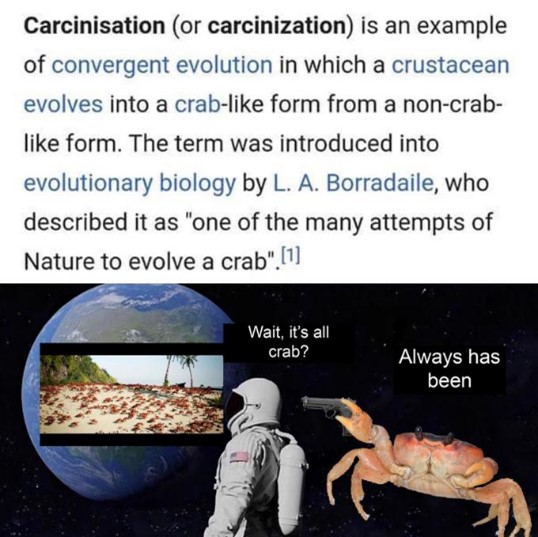 Crab Carcinization