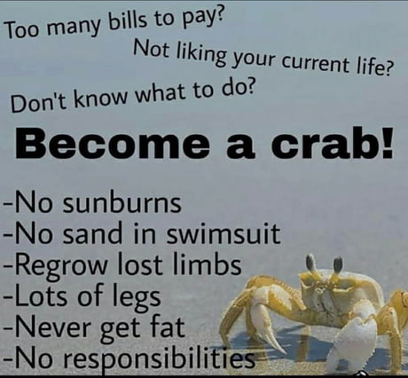 Crab